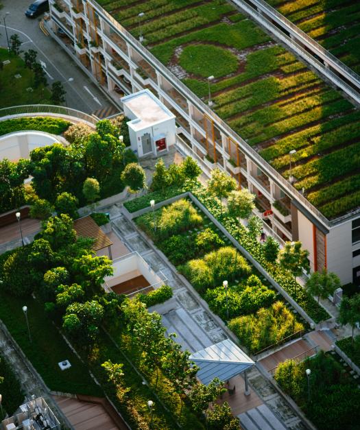 Intermédiation en TVA : choisir entre opacité et transparence